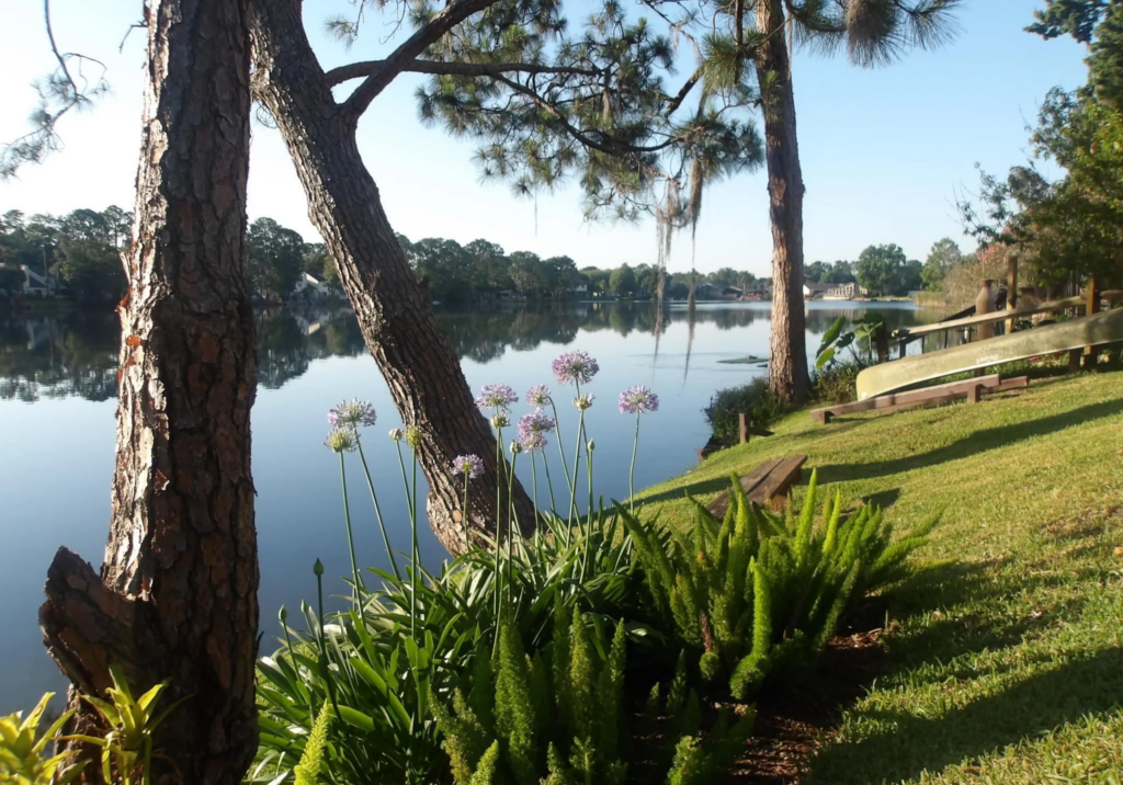 lake 3